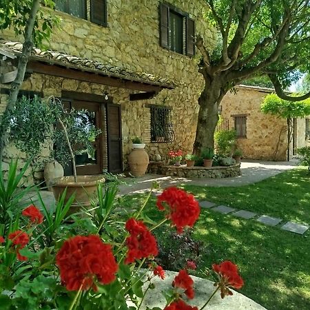 All'Ombra Di San Damiano Assisi Kültér fotó