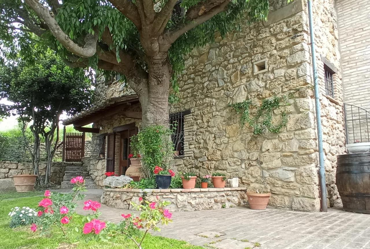 All'Ombra Di San Damiano Assisi Kültér fotó