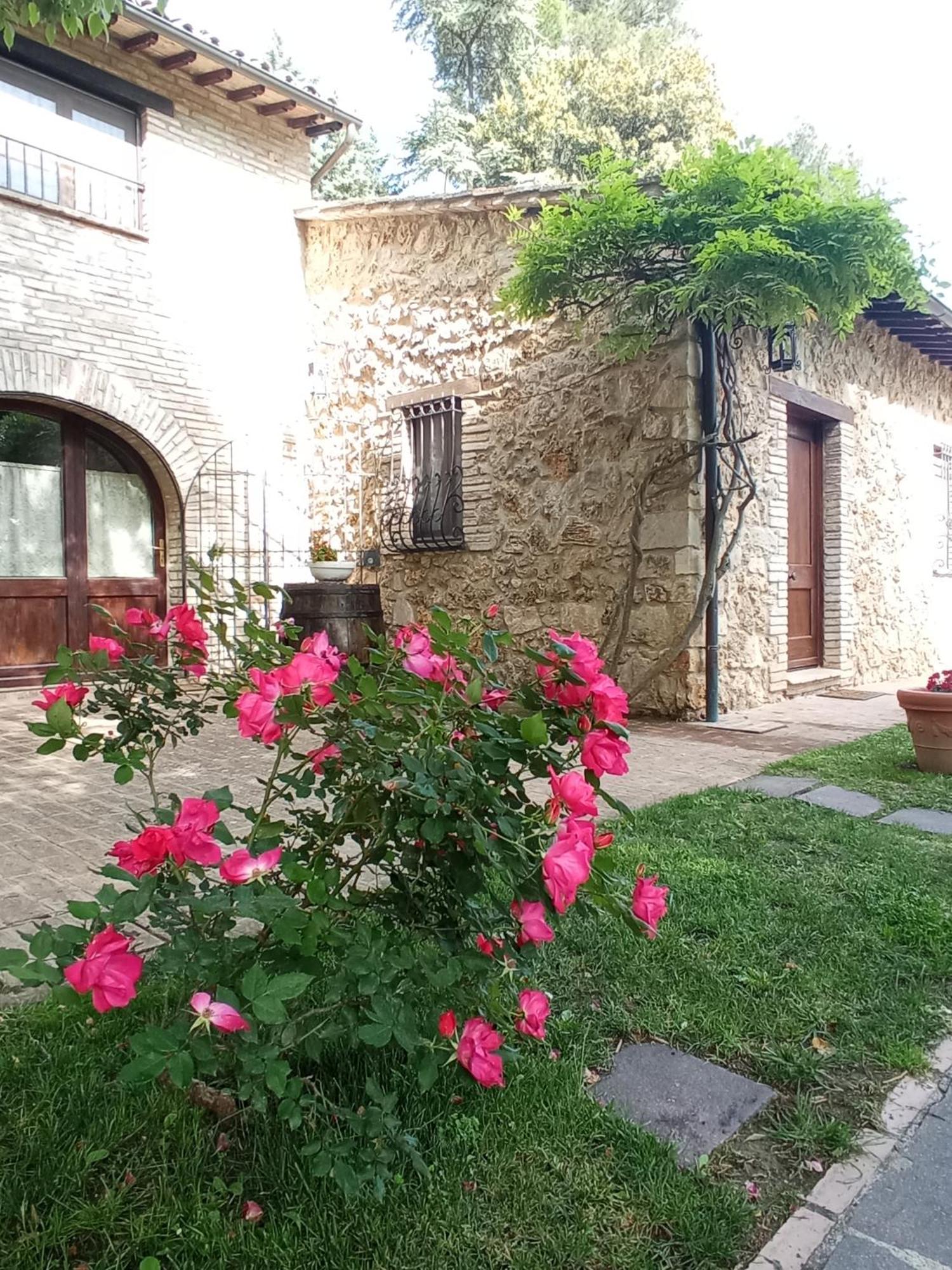 All'Ombra Di San Damiano Assisi Kültér fotó