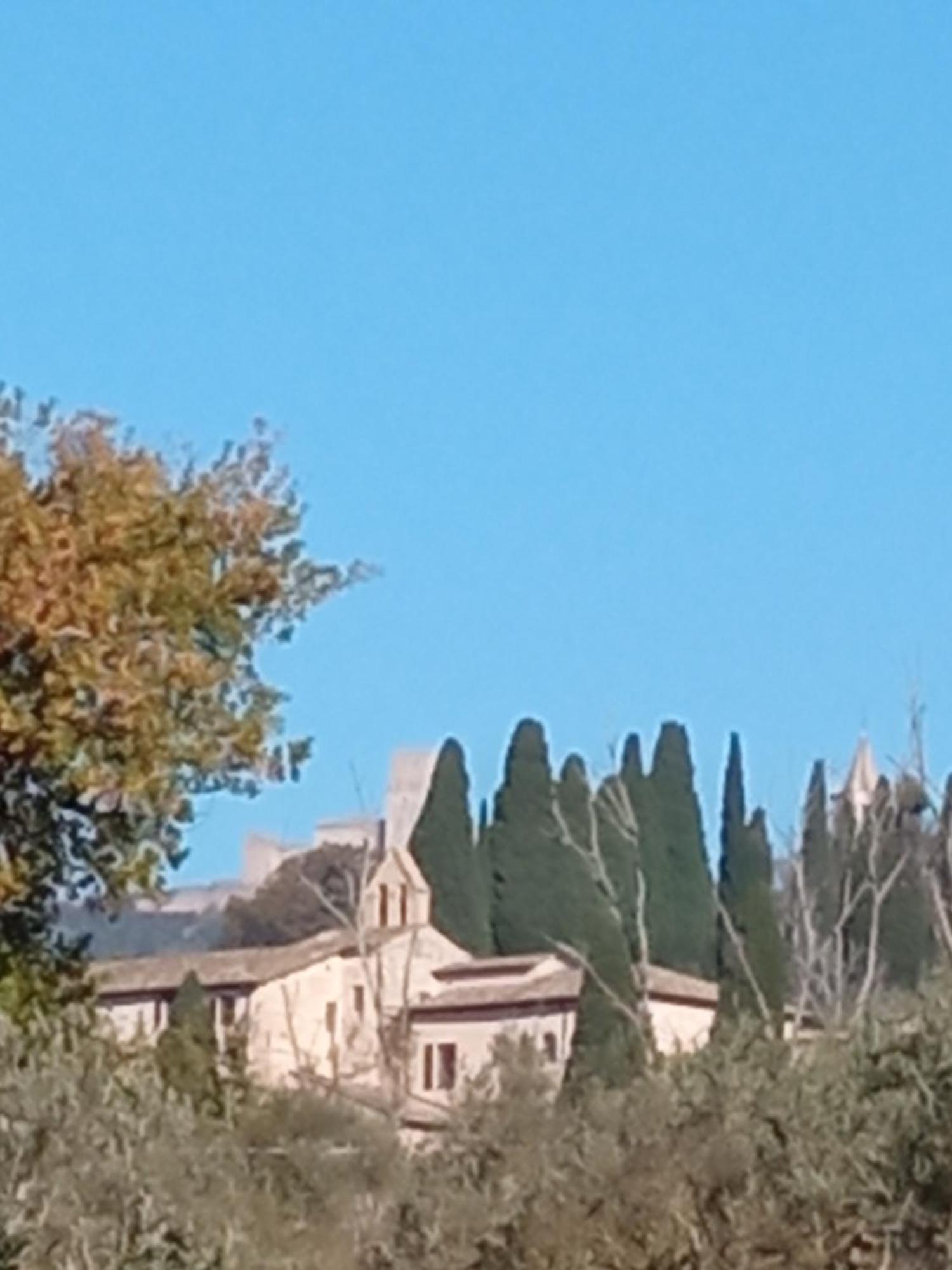 All'Ombra Di San Damiano Assisi Kültér fotó