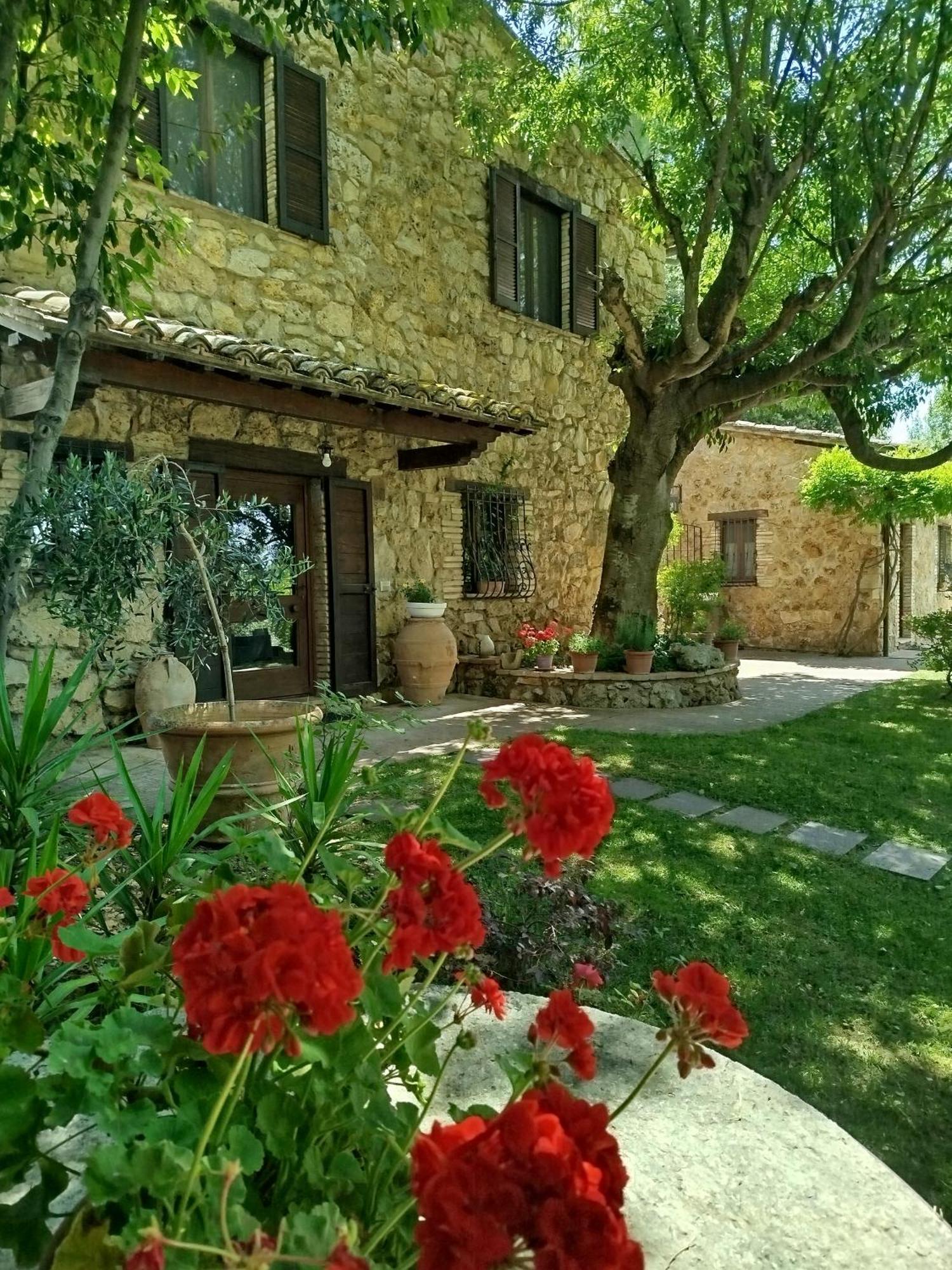 All'Ombra Di San Damiano Assisi Kültér fotó